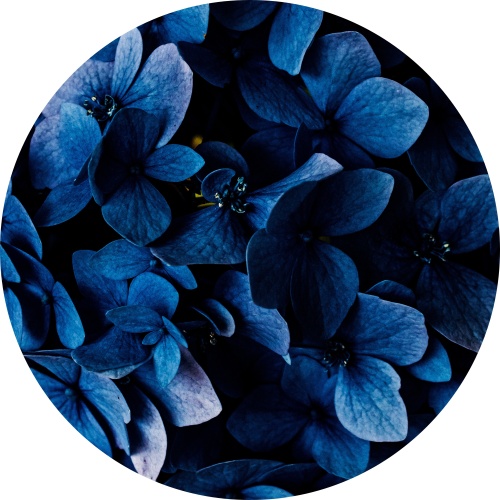 Blauwe bloemen - Muurcirkel
